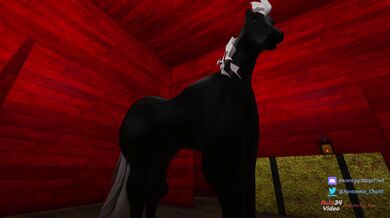 Stable Issues
