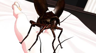 Creepy-Crawly Cathouse: A 4K Insect Orgy