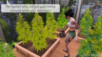 Fucking the Whole Family in Paradise: The Beginning