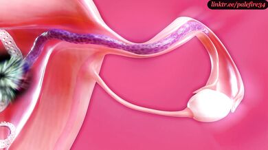 X-Ray Tentacle Invasion: Tifa's Womb Conquest