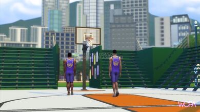 Ballin' with the Boyfriend's Bae: A Tale of Two Lovers and a Basketball Star