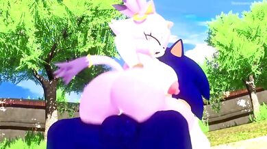 Sonic's Ride of Thunderous Passion with Blaze