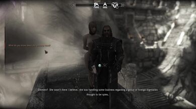 The Erotic Encounter of a Thalmor and a Human in the Imperial City