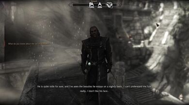 The Erotic Encounter of a Thalmor and a Human in the Imperial City