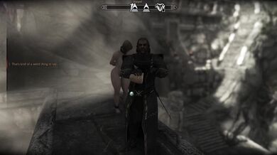 The Erotic Encounter of a Thalmor and a Human in the Imperial City