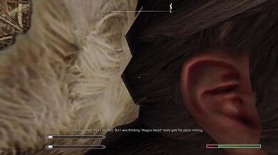 Impregnating the Sexiest NPC in Skyrim