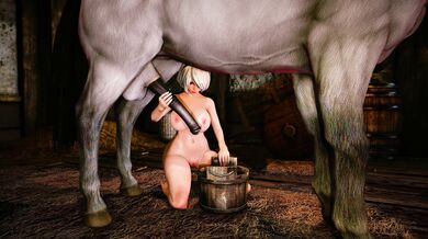 Double B's Riding Lessons for a Sensual Evening [Ultra HD]