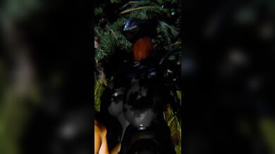 The Hunter and the Human: A Story of Bestiality