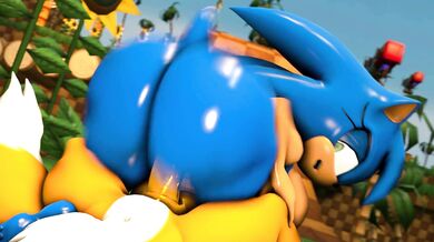 Sonica's Anal Adventures with a Lustful Beast