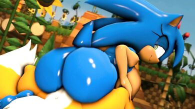 Sonica's Anal Adventures with a Lustful Beast