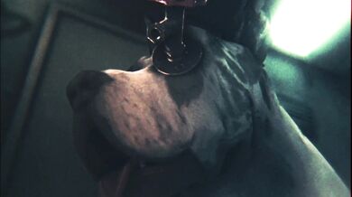 Pretty bondage cages on wheels