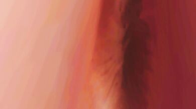 Dead or Alive 5: Naotora's Busty Photo Shoot