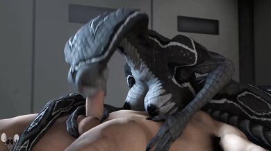 Unleashed Beasts: A Subscriber's Choice Furry Animation Compilation