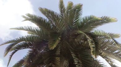 Cumming Hard with Overfeel: A Fennochik 1080p Masterpiece