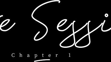 Hooker Chronicles - Volume 1