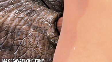 Blue's Naughty Holiday Fuckfest