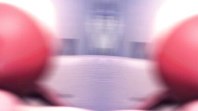 Agapilord HMV/PMV - Back to Back with Agapilord HMV/PMV!