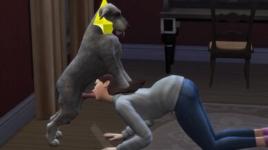 - Lustful Olivia gets ravaged by a lupine lover