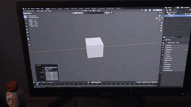 'Night of the Attacking Vixens'