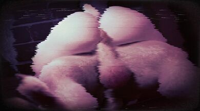 SEXYBACK: The Rear of the Year