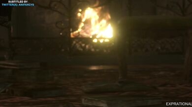 Anaconda Bitches: Two Big Black Sluts and a Small White Bitch