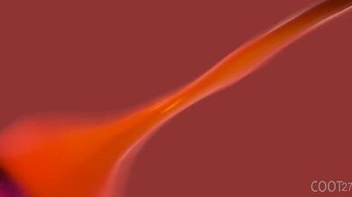 Futa Neeko and Futa Caitlyn's Misunderstanding - Slightly Confusing