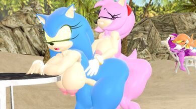Sonic Boobs and Amy Ass on the Beach with Lewdgear
