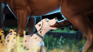 Busty Masseuse Sucks and Fucks Clients Horse Cock