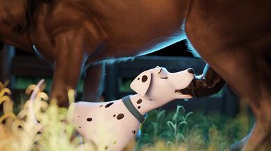 Busty Masseuse Sucks and Fucks Clients Horse Cock