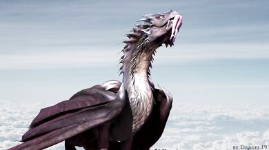 Dungeons & Dragons: The Porn Parody