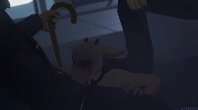 The Shishigumis Sensual Dominance