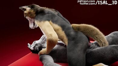 Gay Wolves' Anal Orgy
