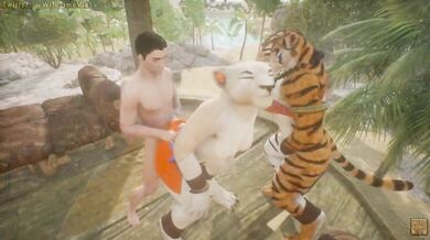 The Himalayan Forest: A Wild Feline Threesome
