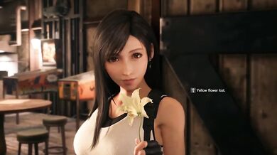 Ultimate Pleasure Vault