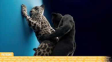 Jaguar Double Penetration (Gay)