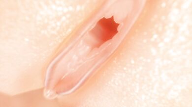 Candace's Anal Vore Debut with UltraG's Dehya