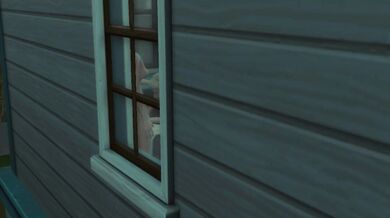 All Alone and Lonely, Futanari's Home Pussy Is Calling for Attention