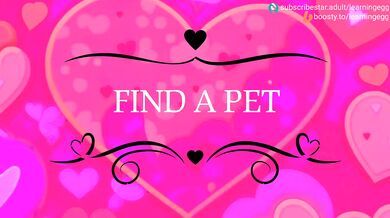 Pet Shop - Coming Soon!
