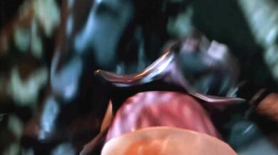 Cumming for the Demogorgon - Samiras Hentai PMV