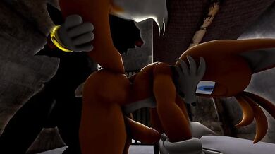 Tails Gets Fucked by Shadow's Dark Dick