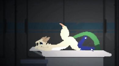 DiBS 0.5.6: Full Scene Collection