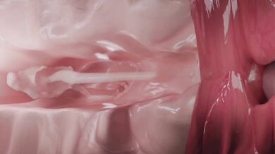 The Beauty of Ponysex with a Human X-ray Clop