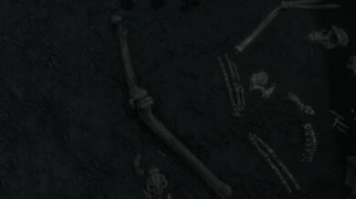 The Ritual - Short Version