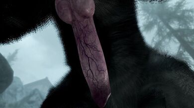 The Ritual - Short Version