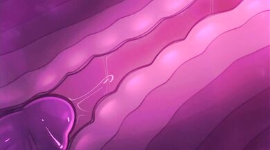 Ghostly Sex Romp: A Collection of Phantom Penetration