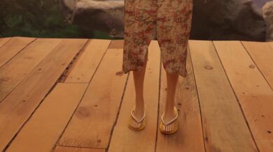 Kawakami and Joker - Reunited After Five Years of Separation