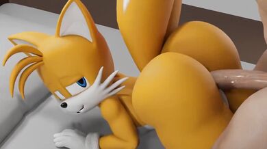 Tales of Anal Sex with Tails from Behind the Scenes