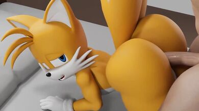 Tales of Anal Sex with Tails from Behind the Scenes