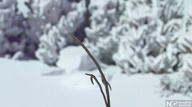 Carrots Gone Wild in the Frozen Tundra