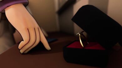 Groom's Secret Bride, Amateur's Revenge